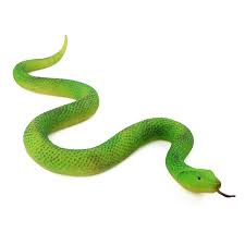 SNAKE TOY